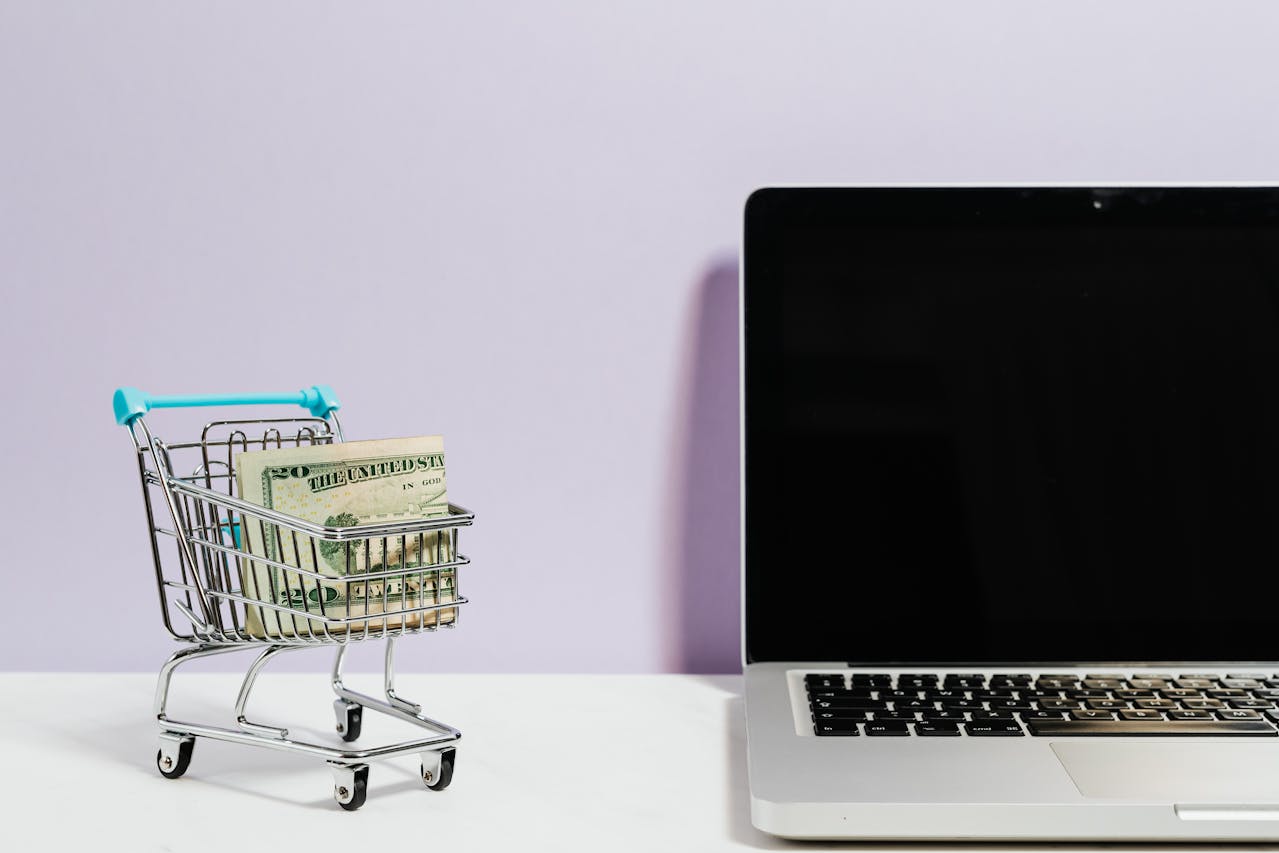 Illustration of an online shop ( ecommerce ) with a cart full of money, symbolizing e-commerce success and financial prosperity ecommerce website